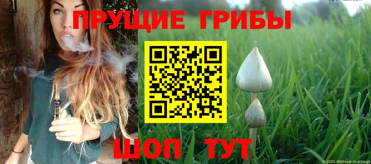 Галлюциногенные грибы Psilocybine cubensis  Галлюциногенные грибы ЛСД  Вологда  Вход с VPN 